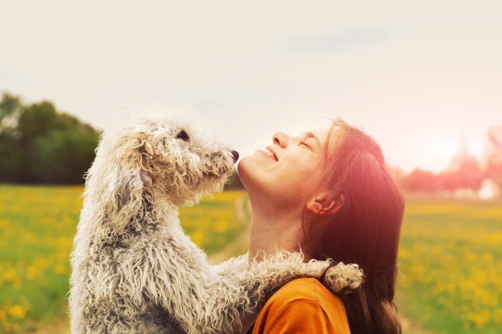 How Pets and Assistance Animals Play a Healing Role During Addiction Recovery