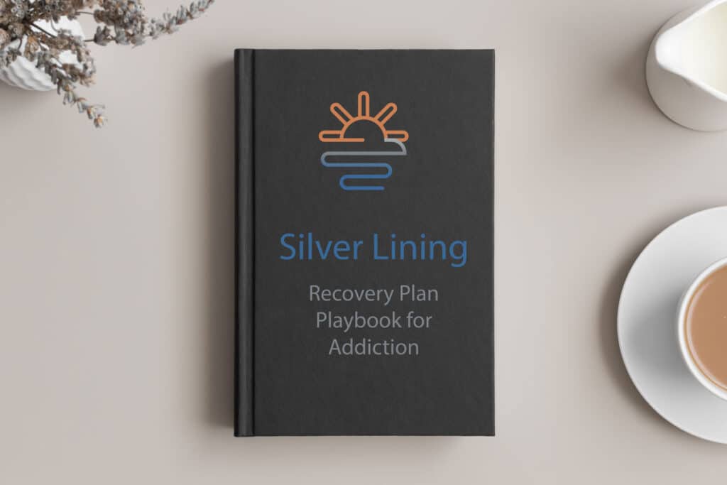 Silver Lining Playbook – Recovery Plan for Addiction